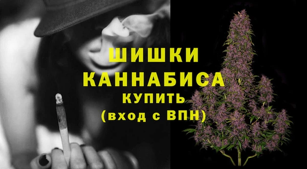крисы Горнозаводск