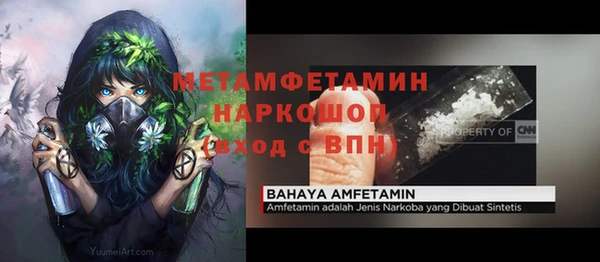 прущие грибы Горно-Алтайск