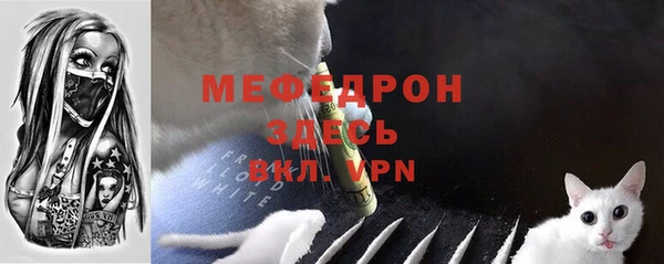 прущие грибы Горно-Алтайск