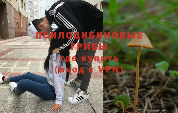 прущая мука Горняк