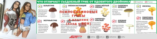 крисы Горнозаводск