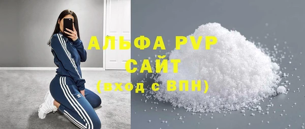 прущие грибы Горно-Алтайск