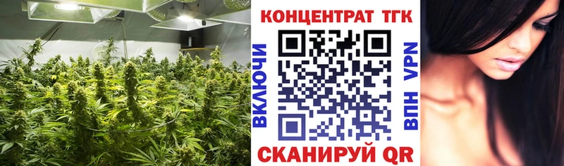 Купить  Канаш  Дистиллят ТГК Wax 