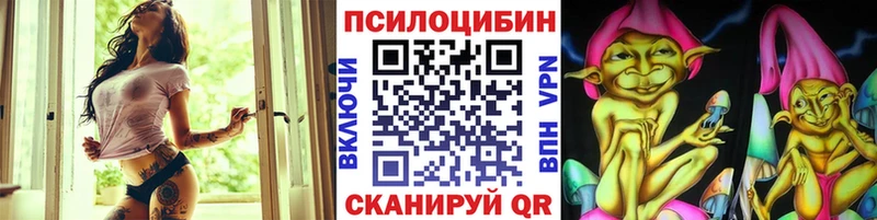 Купить  Канаш  Псилоцибиновые грибы Cubensis 